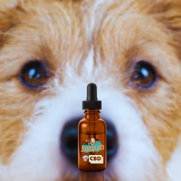 Test Huile de CBD artisanale pour chiens