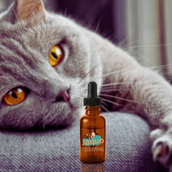 Shoot Vermifuge naturel pour Chaton et Chat