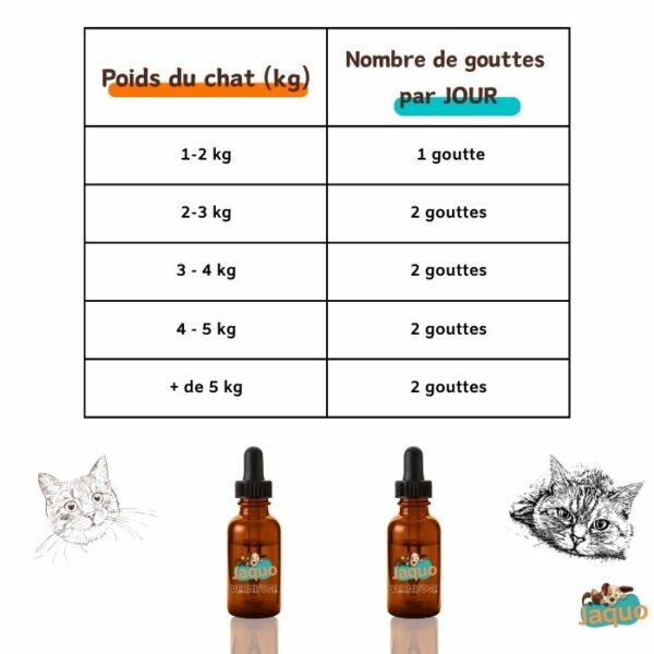 Tableau Dosage Vermifuge naturel pour Chaton et Chat