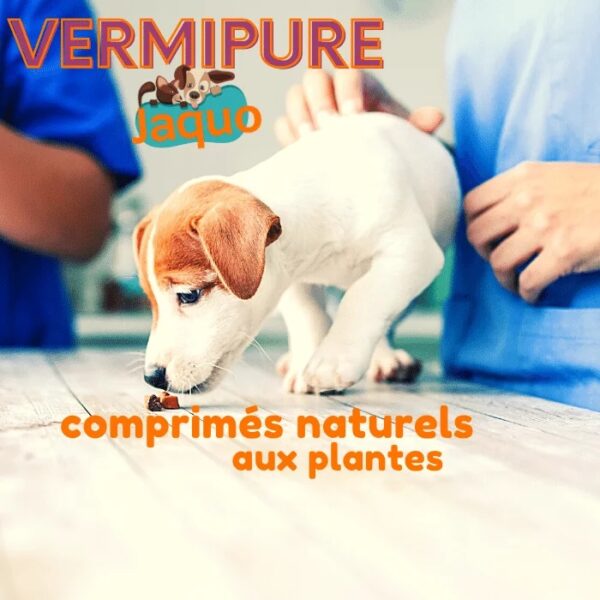 Vermifuge pour Chiot et Chien de petite taille